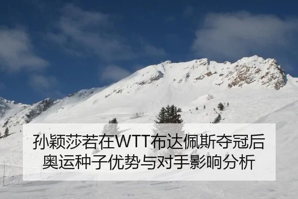 孙颖莎若在WTT布达佩斯夺冠后奥运种子优势与对手影响分析