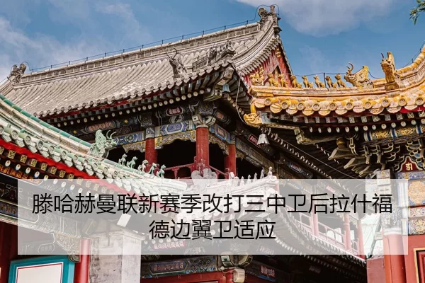 teng-ha-he-man-lian-xin-sai-ji-gai-da-san-zhong-wei-hou-la-shen-fu-de-bian-yi-wei-shi-ying-3-693.jpg